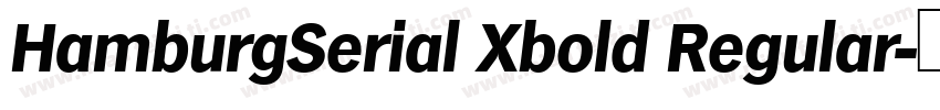 HamburgSerial Xbold Regular字体转换